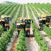 Technological applications for farm produce origin tracking