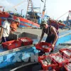 Good catches in central Vietnam