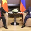 Russia an important, reliable partner of Vietnam: Party leader