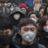 Air pollution causes basic reduction in intelligence