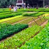 Rising trend of agritourism