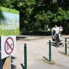 Strasbourg becomes first French city to ban smoking in parks