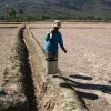 Modern irrigation methods solve water shortage in Ninh Thuan's dry areas