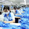 CPTPP could be windfall for Vietnam textile industry