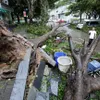 Typhoon Mangkhut weakens after reaching China