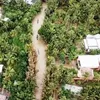 Coconut-themed tour in Ben Tre