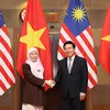 Vietnam-Malaysia strategic partnership achieves significant progress