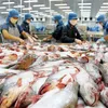 Tra fish exports surge to meet year-end demand