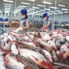 Tra fish exports to China surge