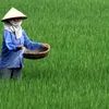 Vietnamese agriculture promotes sustainable development