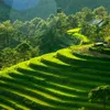 French anthropologists’ research on central highlands