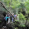 Cat Ba national park preserves medicinal plants