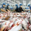 The U.S becomes Vietnam’s largest Tra fish importer