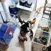 Vietnamese woman cares for over 100 stray cats, dogs