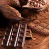 Chocolate could go extinct by 2050