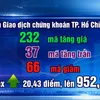 Vietnam stock market recovers