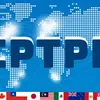 CPTPP opens up opportunities for cooperation and development