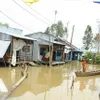 Mekong delta to witness higher floods