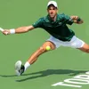 Djokovic advances in Toronto as del Potro withdraws