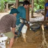 Vietnam flood death toll rises to 19, many still missing