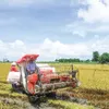 Rice production linkages proved efficient in Mekong deta