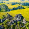 “Yellow Tam Coc - Trang An” boosts Ninh Binh tourism