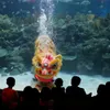 Lion dancing on water