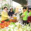 2nd Ornamental Fish Festival opens in HCM City