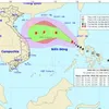 Coastal provinces prepare for typhoon Haikui