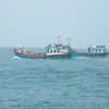 VN won’t tolerate IUU fishing: MARD