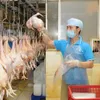 Company to build factory to increase chicken exports