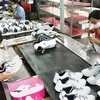 HCMC to host VN Footwear Summit