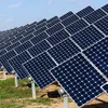 Japanese group eyes solar plant in Bình Phước