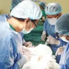 Xuyên Á becomes 1st private hospital in HCM City to do kidney transplant