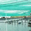 Đồng Nai switches to sophisticated aquaculture methods