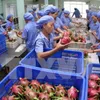 Produce exports to top $4b this year