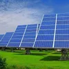 VNĐ5 trillion solar power plant to be built in Ninh Thuận