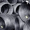 Domestic steel production growth to reach 20 per cent this year