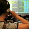 Blue chip stocks lift up VN-Index