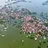 Garbage woes in Hà Nội's flooded area