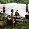 Điện Biên children risk lives fishing for wood