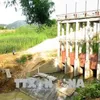 Tuyên Quang’s irrigation systems battered by floods