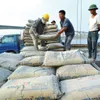 Cement exports up 55% in first seven months