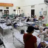 Dengue fever cases on the rise in Hà Nội