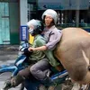 Overloaded mopeds in Việt Nam