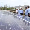 Renewable energy development in VN faces challenges