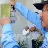 Bình Thuận takes steps to prevent dengue outbreak