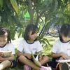 First bilingual education system debuts in Đà Nẵng