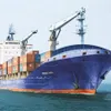 Struggling Vinalines to open container shipping centre next week