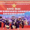 'National solidarity-Vietnamese cultural heritage' week kicks off